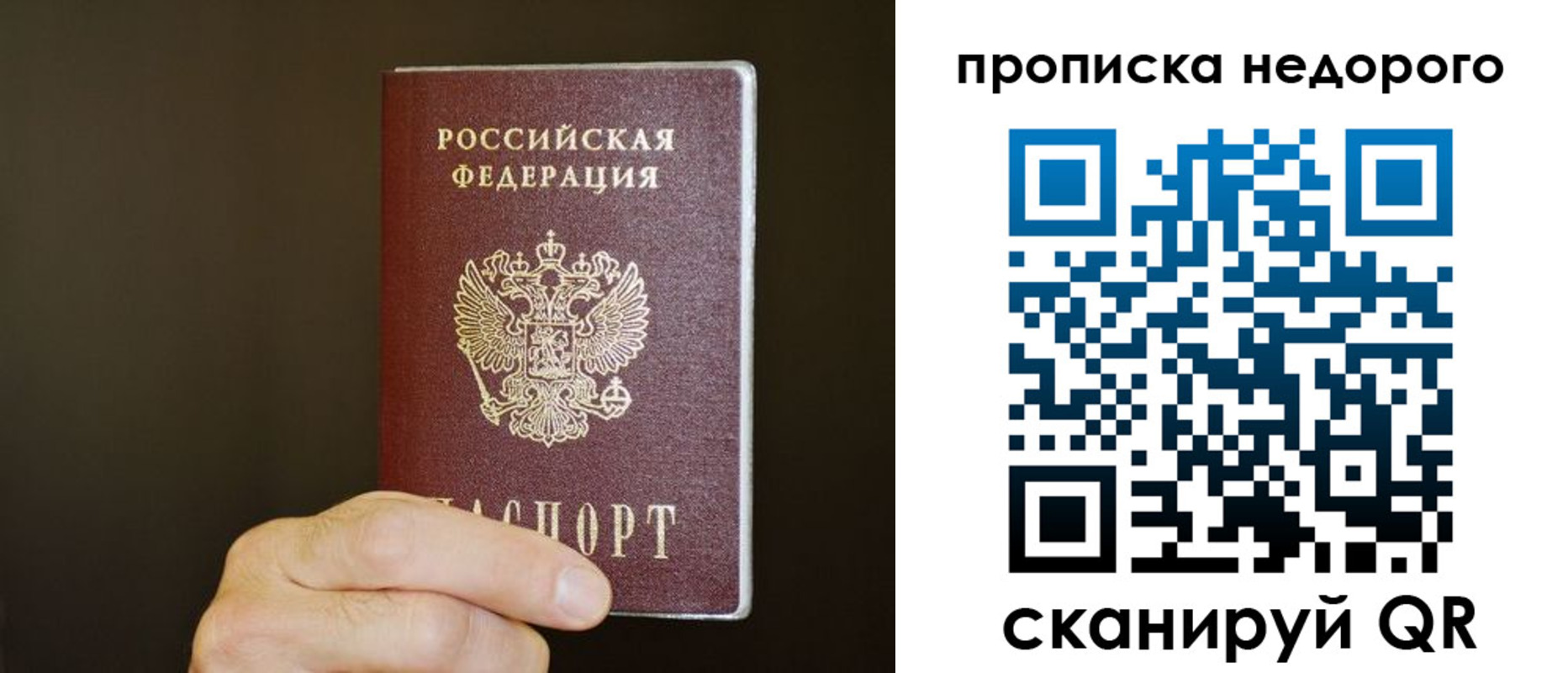 прописка в квартире в Елизово